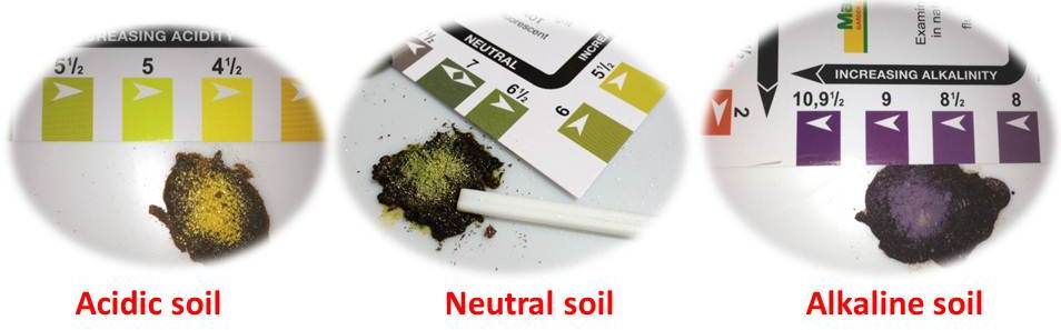 ph soil 3 kinds